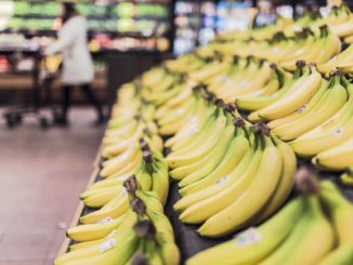 facts about bananas
