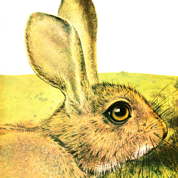 Facts About Watership Down